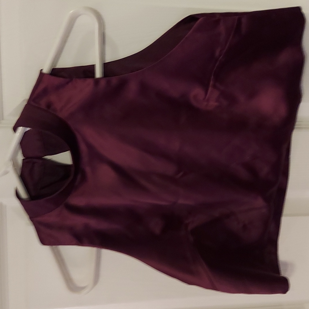 Tobi high neck shiny burgundy sleeveless crop top Small